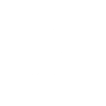 NYFW New York Fashion Week The Shows logo