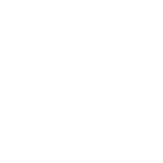 Anine Bing logo