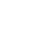 900 North Michigan Shops logo